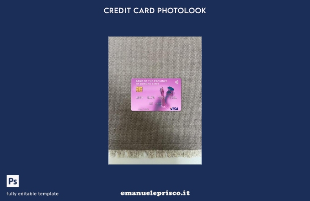 stile verificato modello frontale photolook della carta visto della Banca Argent